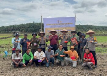 Polisi dan Petani Tanam Jagung Serentak di Betung, Dukung Program Ketahanan Pangan Nasional