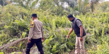 Polsek Teluk Meranti Sebarkan Maklumat Kapolda Riau, Edukasi Warga Cegah Karhutla