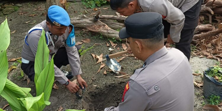 Polri Hijaukan Lingkungan, Polsek Pangkalan Kerinci Tanam Bibit Pohon Buah