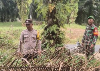 Polsek Langgam Perkuat Sinergitas TNI-Polri Lewat Silaturahmi di Segati
