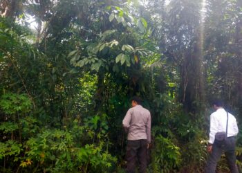 Polsek Pangkalan Kuras Patroli Karhutla di Sorek Satu