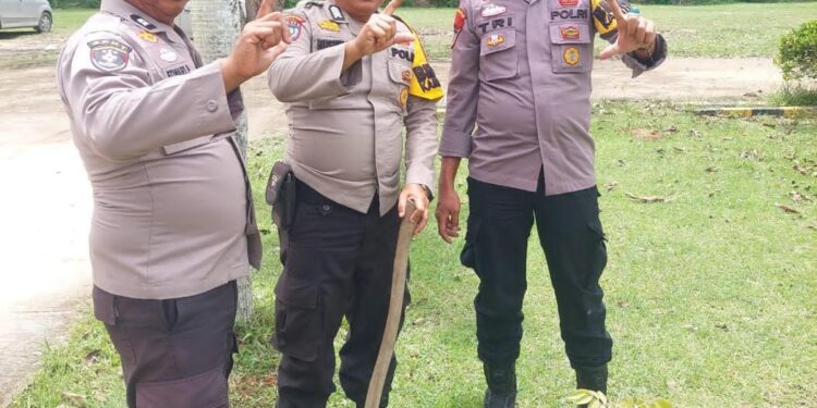 Polsek Ukui Tanam Pohon Dukung Program Green Policing 2026