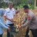 Kapolsek Pangkalan Kerinci Dampingi Panen Raya Jagung di Desa Makmur
