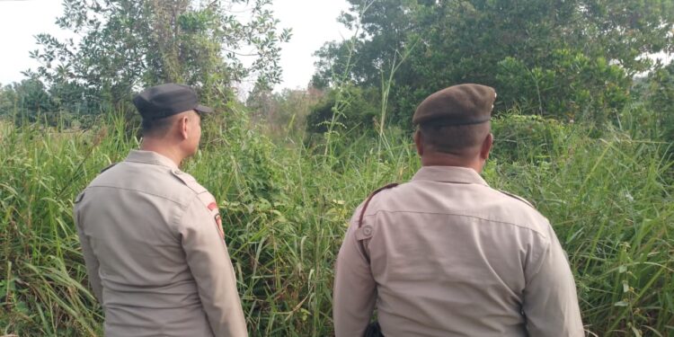 Polisi Pangkalan Kerinci Patroli Daerah Rawan Karhutla dan Sosialisasikan Larangan Membakar Lahan