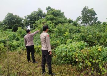 Polsek Pangkalan Kuras Gelar Patroli Karhutla di Sorek Satu