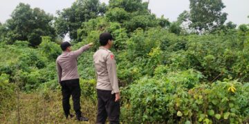Polsek Pangkalan Kuras Gelar Patroli Karhutla di Sorek Satu