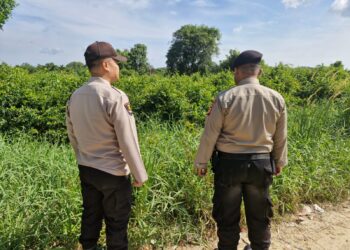 Polsek Pangkalan Kerinci Patroli Daerah Rawan Karhutla, Sosialisasikan Maklumat Kapolda Riau