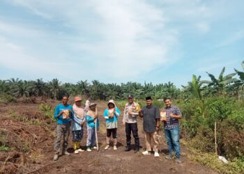 Bhabinkamtibmas Desa Kesuma Tanam Jagung 1 Hektare Dukung Program Ketahanan Pangan