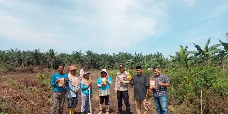 Bhabinkamtibmas Desa Kesuma Tanam Jagung 1 Hektare Dukung Program Ketahanan Pangan