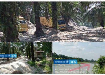 Aktivitas Akuari Dusun Telanai Teratak Buluh Rusak Ekosistem Sungai Kampar Aparat Diminta Bertindak Tegas