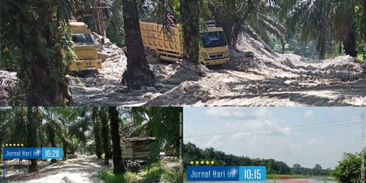 Aktivitas Akuari Dusun Telanai Teratak Buluh Rusak Ekosistem Sungai Kampar Aparat Diminta Bertindak Tegas