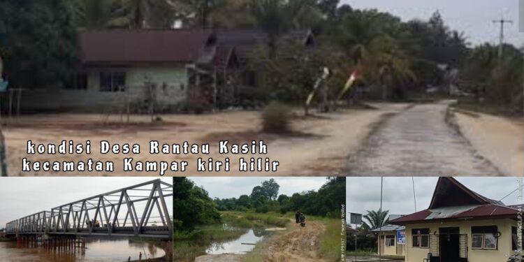 Aroma Tak Sedap Pengelolaan Hutan Desa Rantau Kasih: Warga Pertanyakan Transparansi Dana Miliaran Rupiah