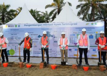 Pemerintah Perkuat Swasembada Protein, Holding Perkebunan Nusantara Dukung Hilirisasi Ayam Terintegrasi Melalui Penyediaan Aset Lahan