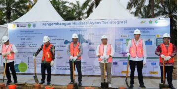 Pemerintah Perkuat Swasembada Protein, Holding Perkebunan Nusantara Dukung Hilirisasi Ayam Terintegrasi Melalui Penyediaan Aset Lahan