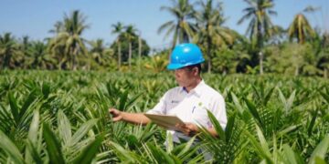 Akselerasi Peremajaan Sawit Rakyat, PTPN IV PalmCo, Subholding dari Holding Perkebunan Nusantara Salurkan 6 Juta Bibit Unggul