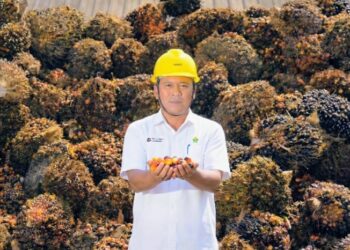 Dominan Diserap Pasar Domestik, CPO PTPN IV PalmCo, Subholding PTPN III (Persero) Tetap Sasar 100 Persen RSPO dan ISPO