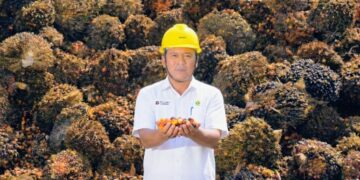 Dominan Diserap Pasar Domestik, CPO PTPN IV PalmCo, Subholding PTPN III (Persero) Tetap Sasar 100 Persen RSPO dan ISPO