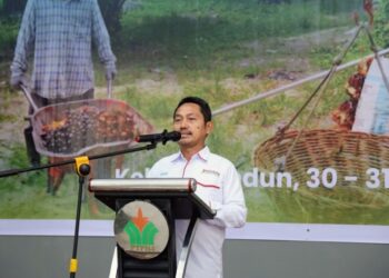 Aspekpir Apresiasi Pola Single Management PalmCo, Subholding Holding Perkebunan Nusantara