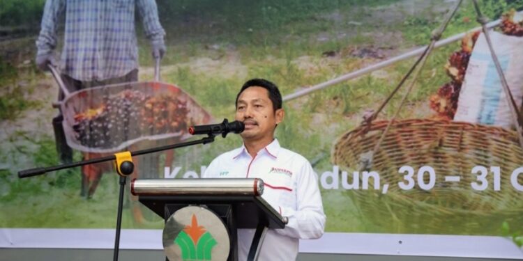 Aspekpir Apresiasi Pola Single Management PalmCo, Subholding Holding Perkebunan Nusantara