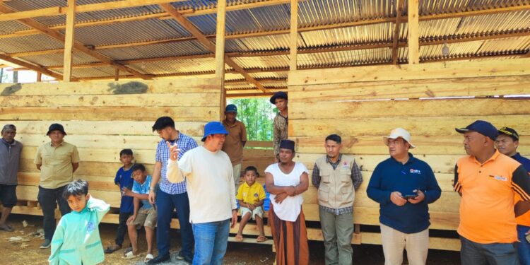 Bupati Haili Yoga Tinjau Pembangunan 97 Huntara di Kampung Umang Linge