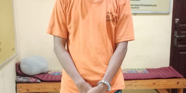 Polsek Kampar Kiri Hilir Tangkap Narkoba di Desa Simalinyang 