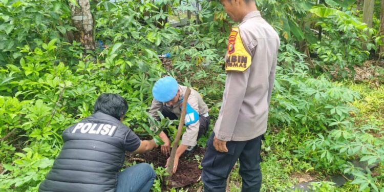 Polsek Teluk Meranti Tanam Bibit Pohon, Dukung Program Penghijauan Kapolda Riau