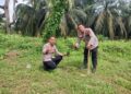 Polsek Ukui Laksanakan Penanaman Pohon Dukung Program Green Policing 2026