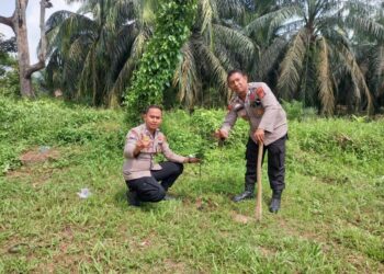 Polsek Ukui Laksanakan Penanaman Pohon Dukung Program Green Policing 2026