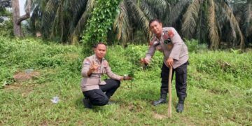 Polsek Ukui Laksanakan Penanaman Pohon Dukung Program Green Policing 2026