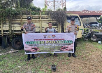 Polsek Pangkalan Kuras Tanam Bibit Manggis di Asrama Polisi Dukung Program Green Policing