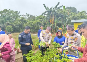 Polres Kuansing Dukung Ketahanan Pangan, Kabag SDM Hadiri Panen Raya Hortikultura di SMKN 1 Sentajo Raya