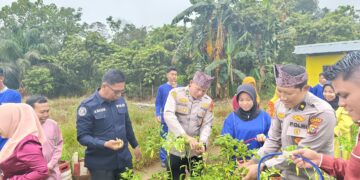 Polres Kuansing Dukung Ketahanan Pangan, Kabag SDM Hadiri Panen Raya Hortikultura di SMKN 1 Sentajo Raya