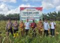 Polsek Teluk Meranti Ikuti Panen Raya Jagung Dukung Swasembada Pangan 2026