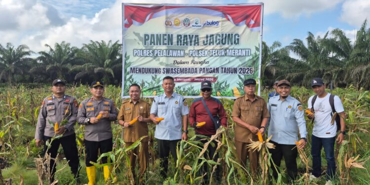Polsek Teluk Meranti Ikuti Panen Raya Jagung Dukung Swasembada Pangan 2026