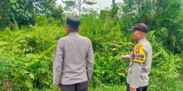 Polsek Pangkalan Kuras Patroli Karhutlah, Cegah Kebakaran Lahan di Sorek Satu