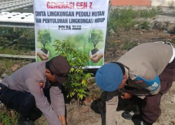 Polsek Bunut Rawat Bibit Pohon di Halaman Mako, Dukung Program Penghijauan