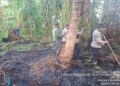 Polsek Kuala Kampar Lakukan Pendinginan Hotspot, Lahan Terbakar 1,5 Hektare di Sungai Upih