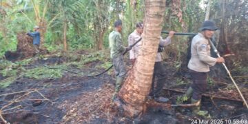 Polsek Kuala Kampar Lakukan Pendinginan Hotspot, Lahan Terbakar 1,5 Hektare di Sungai Upih