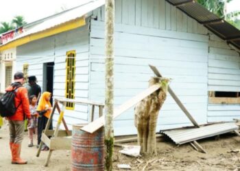 Bupati Haili Yoga Tinjau Contoh Huntara Mandiri di Reje Payung 