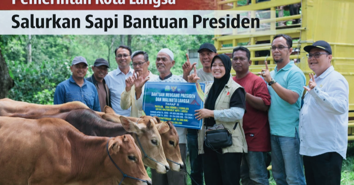 Pemko Langsa Salurkan 71 Ekor Sapi Meugang, Kadis PPPKP Jelaskan Kendala Penyaluran