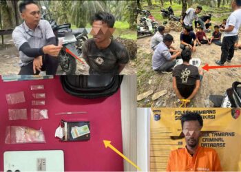 Polsek Tambang Sikat Pengedar Sabu di Kebun Sawit Koto Perambahan Pelaku Berinisial RA Diamankan