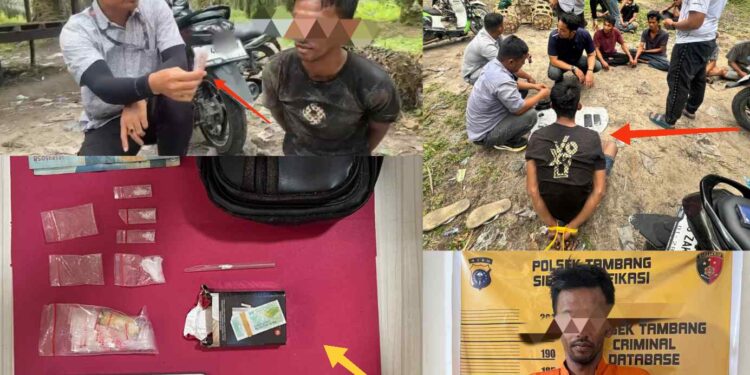 Polsek Tambang Sikat Pengedar Sabu di Kebun Sawit Koto Perambahan Pelaku Berinisial RA Diamankan