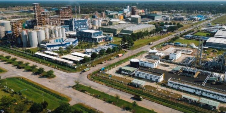 Holding Perkebunan Nusantara Percepat Hilirisasi Sawit, PalmCo Siap Groundbreaking Fasilitas Baru Pasca Lebaran