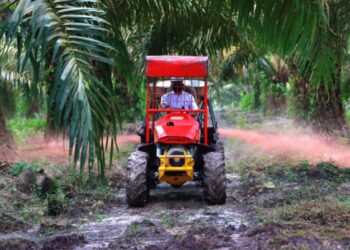 Holding Perkebunan Nusantara Siapkan Replanting 862 Hektare Sawit Renta di Air Molek 2