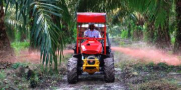 Holding Perkebunan Nusantara Siapkan Replanting 862 Hektare Sawit Renta di Air Molek 2