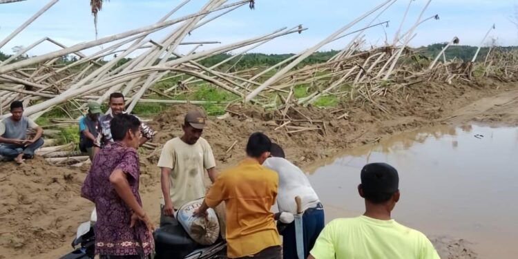 Gotong Royong Warga Dusun Rantau Panjang, Desa Sijudo Perbaiki Jalan Rusak Pascabanjir