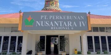 PTPN IV Regional VI Luruskan Fakta Pemberitaan Kasus Pengambilan Brondolan di Kebun Baru
