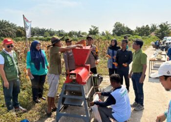 Panen Raya Jagung Polsek Ukui Bersama RAPP, Perkuat Swasembada Pangan Desa Air Hitam