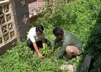Polsek Pangkalan Kerinci Tanam Bibit Pohon, Dukung Program Penghijauan Kapolda Riau