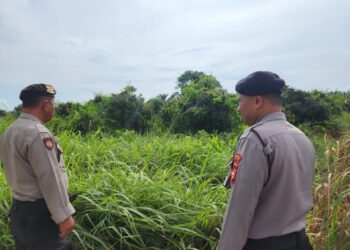 Patroli Karhutla dan Sosialisasi Larangan Membakar Lahan Digelar di Pelalawan